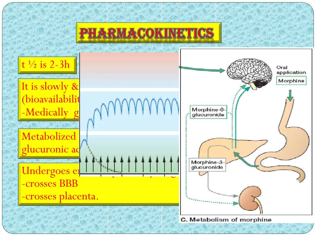 pharmacokinetics pharmacokinetics