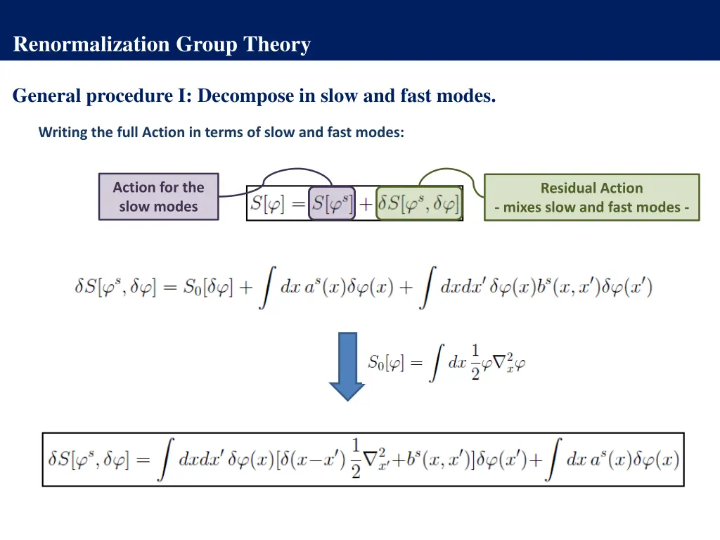 renormalization group theory 12