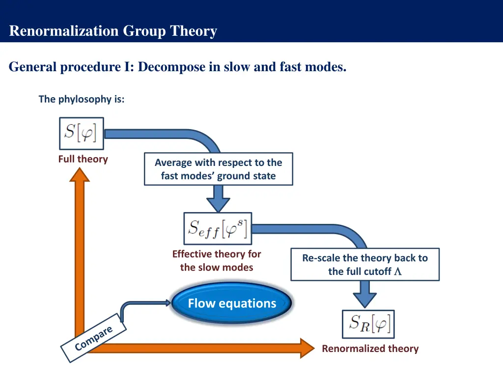 renormalization group theory 8