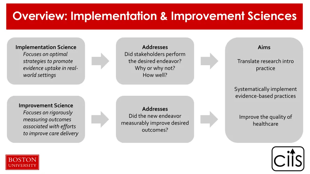 overview implementation improvement sciences