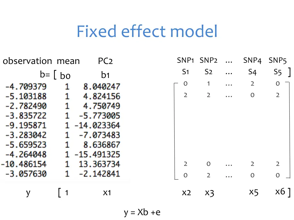 fixed effect model