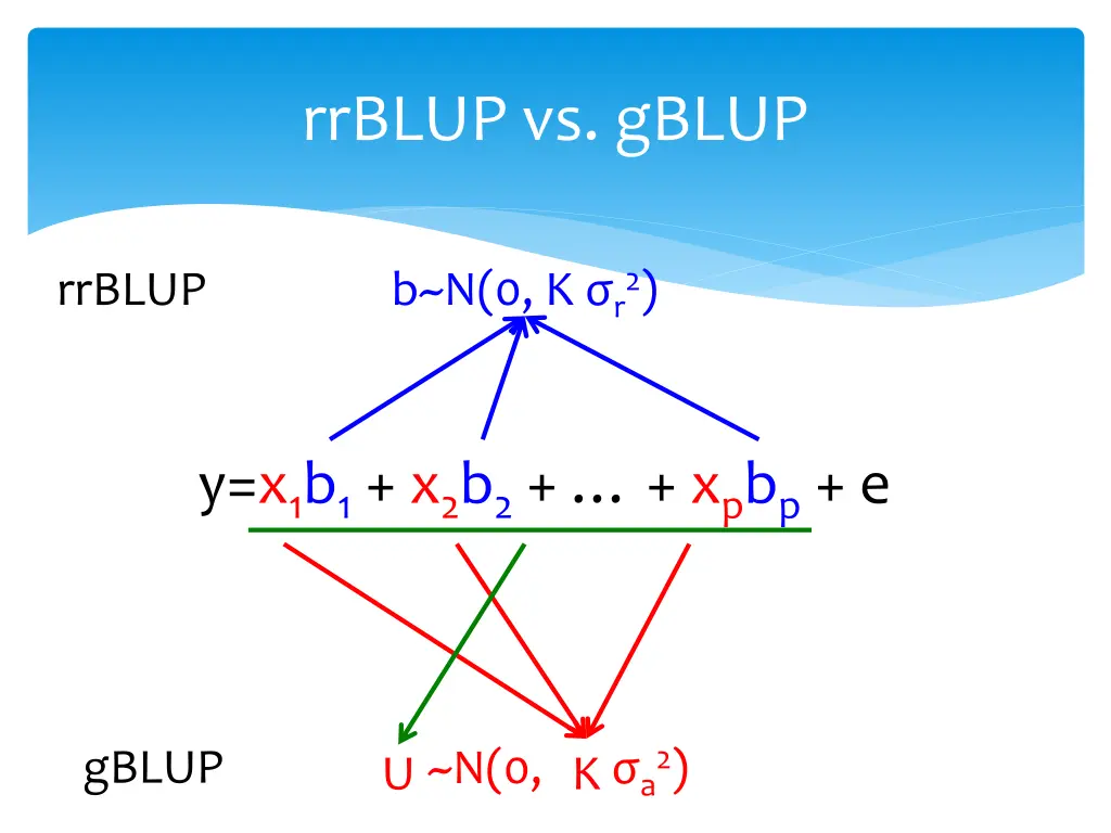 rrblup vs gblup