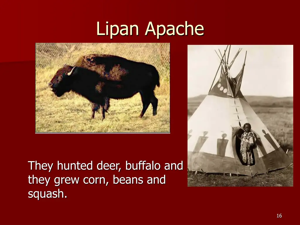 lipan apache