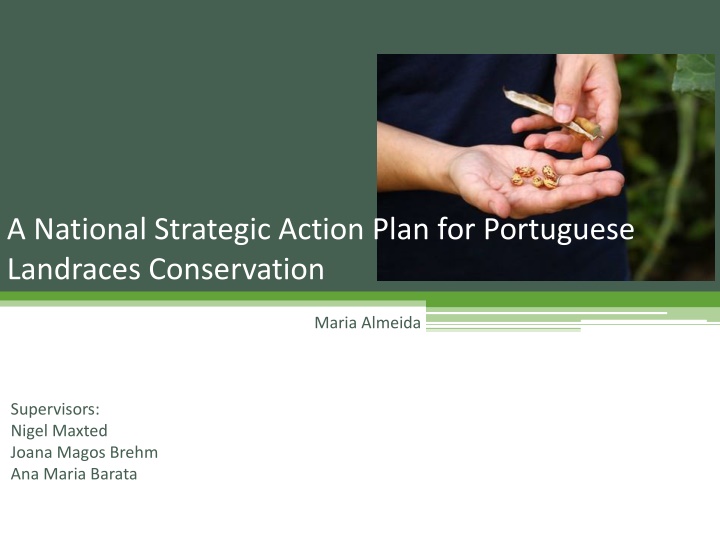 a national strategic action plan for portuguese