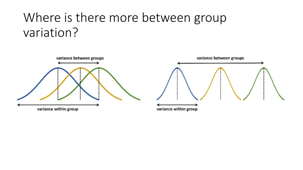 where is there more between group variation