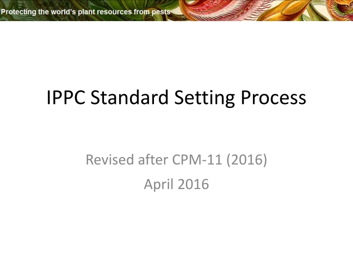 ippc standard setting process