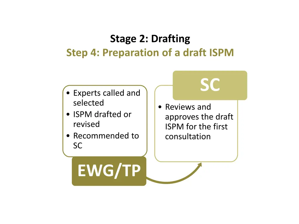 stage 2 drafting 1