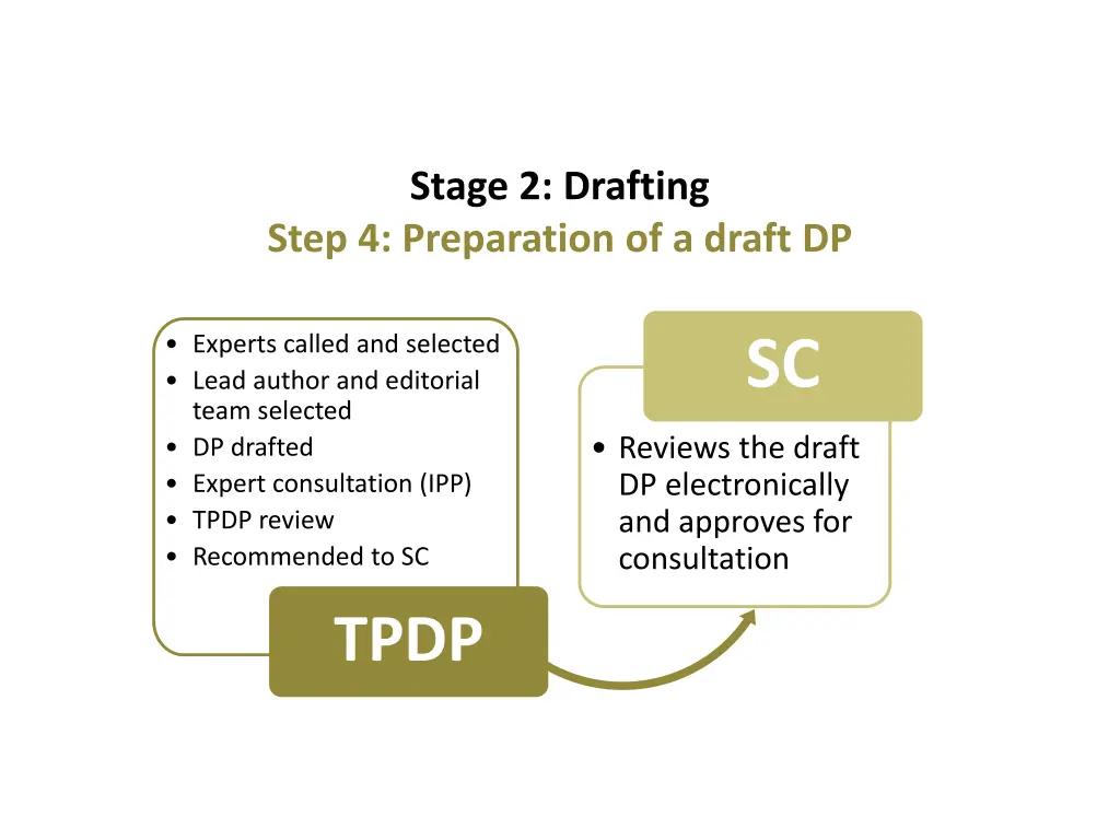 stage 2 drafting step 4 preparation of a draft dp