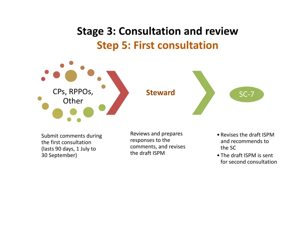 stage 3 consultation and review step 5 first