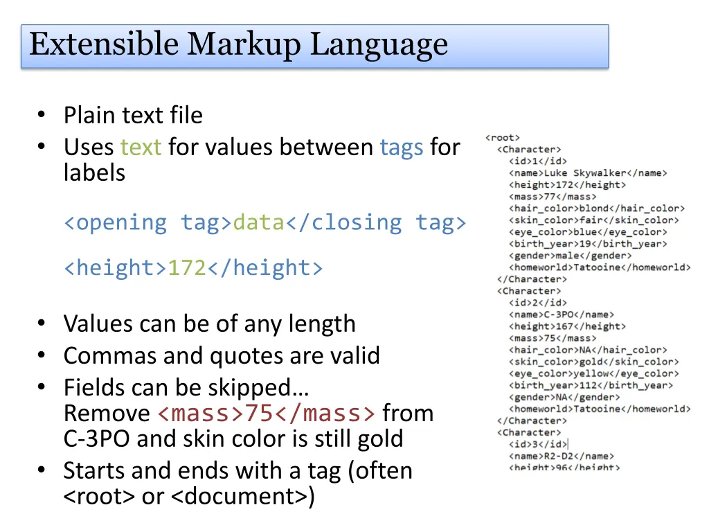 extensible markup language