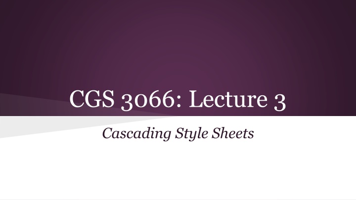 cgs 3066 lecture 3