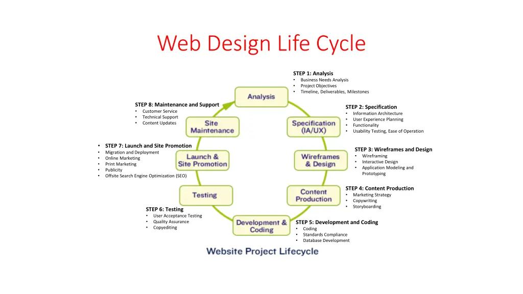 web design life cycle