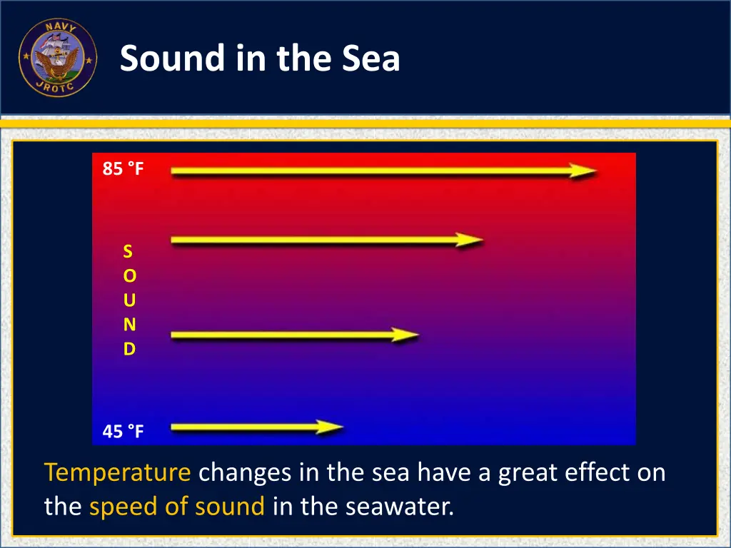 sound in the sea 6