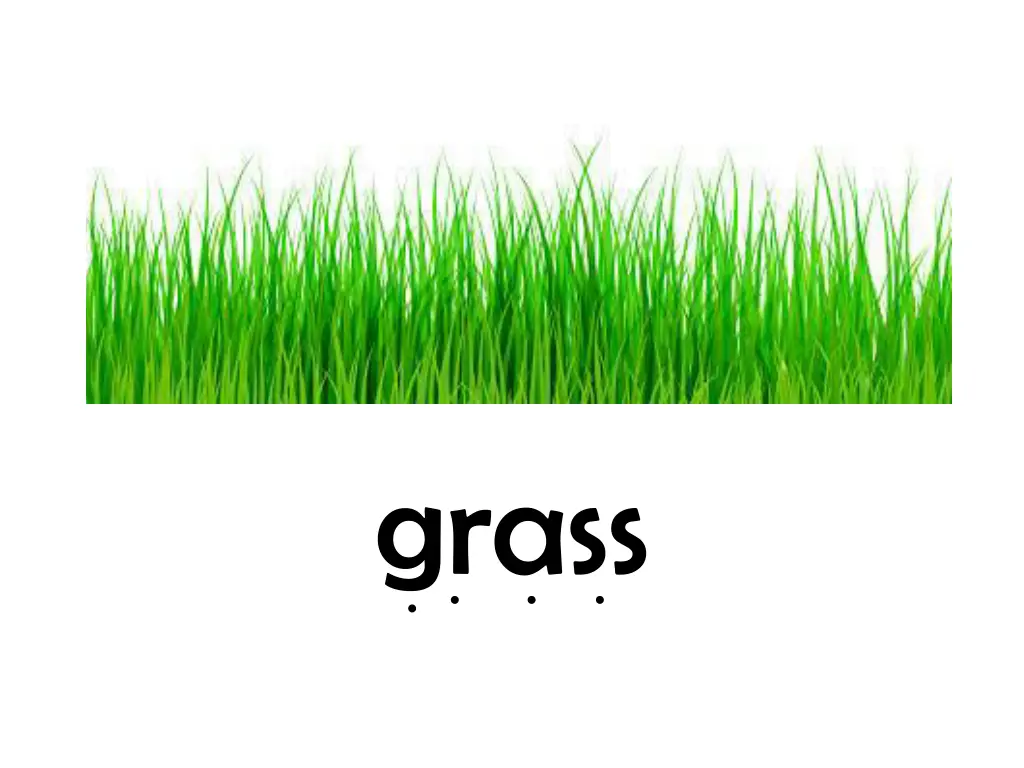 grass