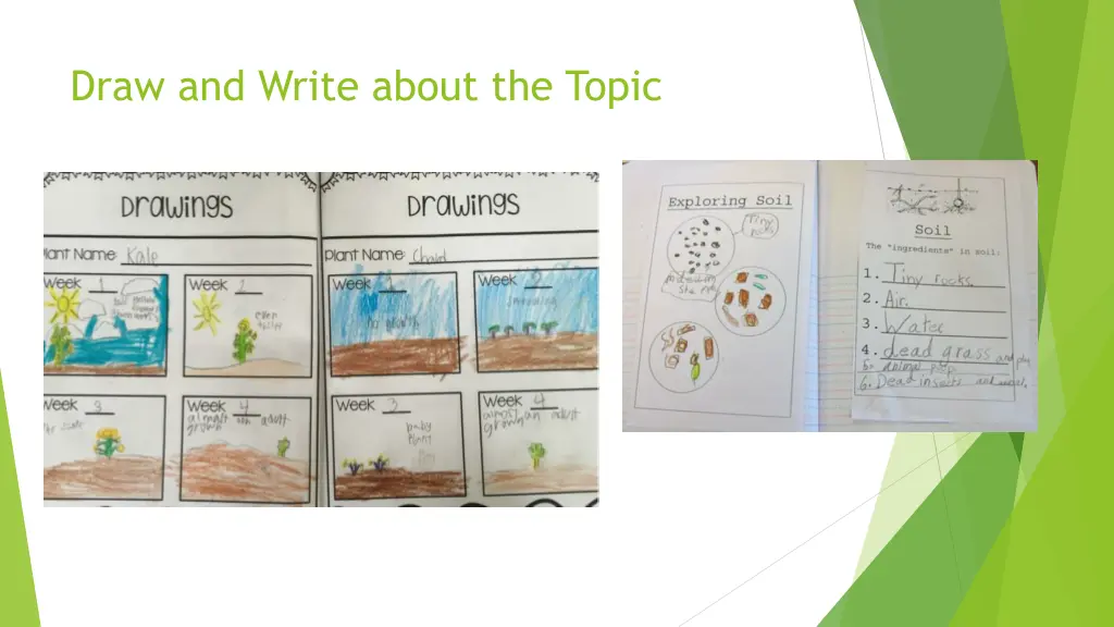 draw and write about the topic