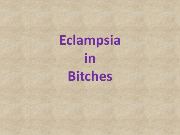 eclampsia in bitches