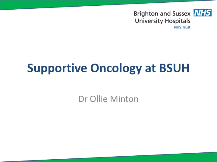 supportive oncology at bsuh