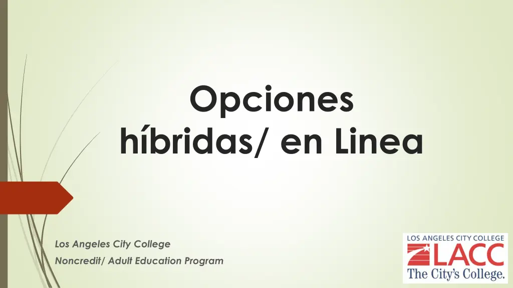 opciones h bridas en linea