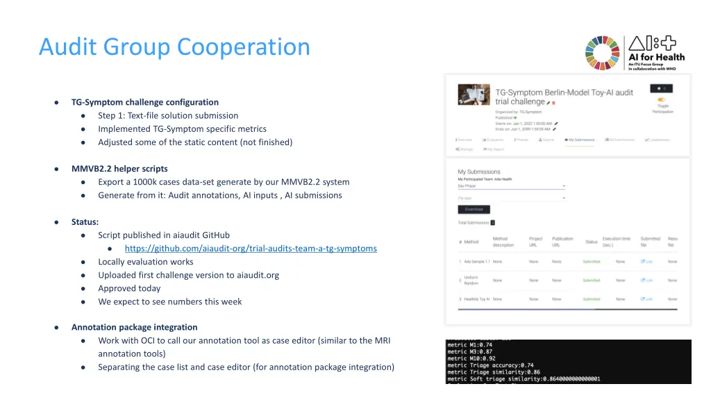 audit group cooperation 1