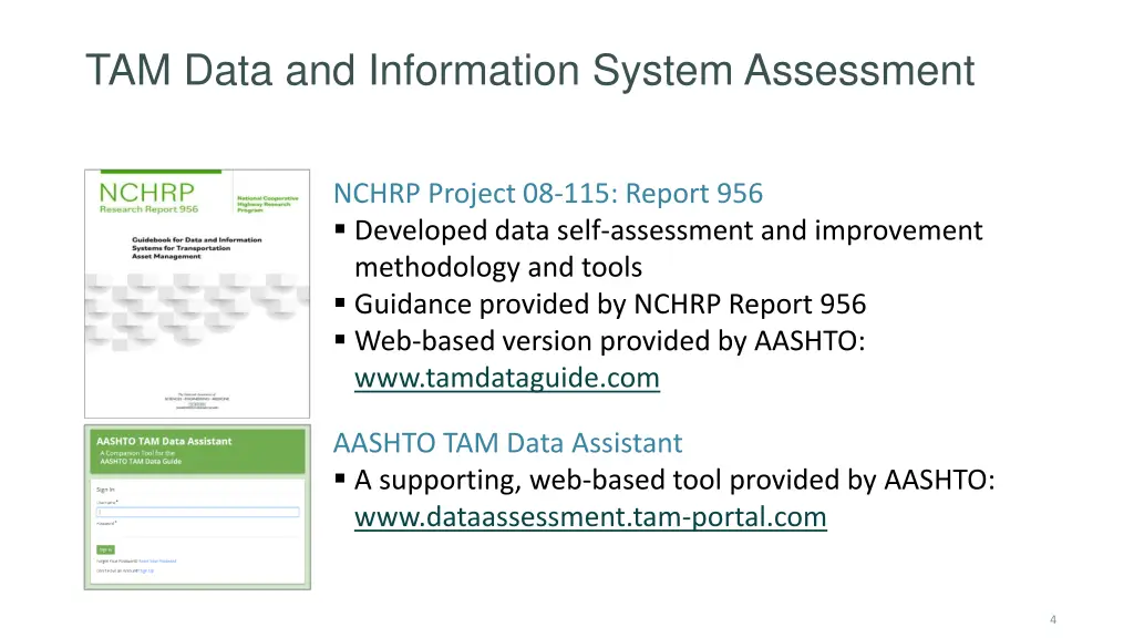 tam data and information system assessment