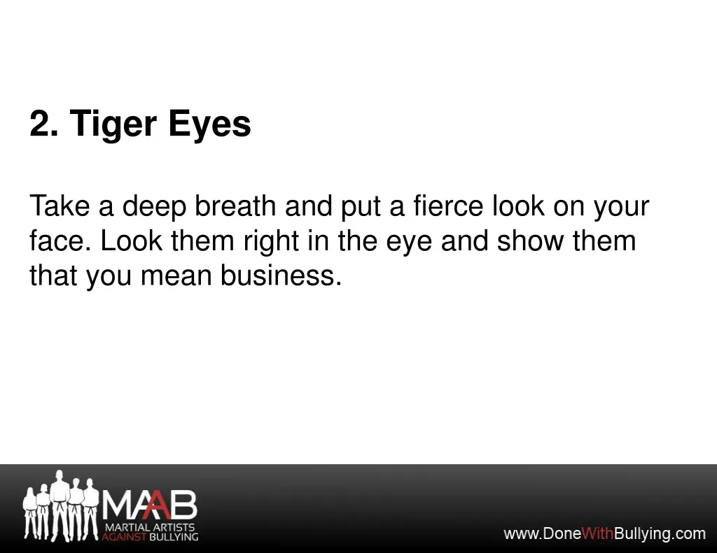2 tiger eyes