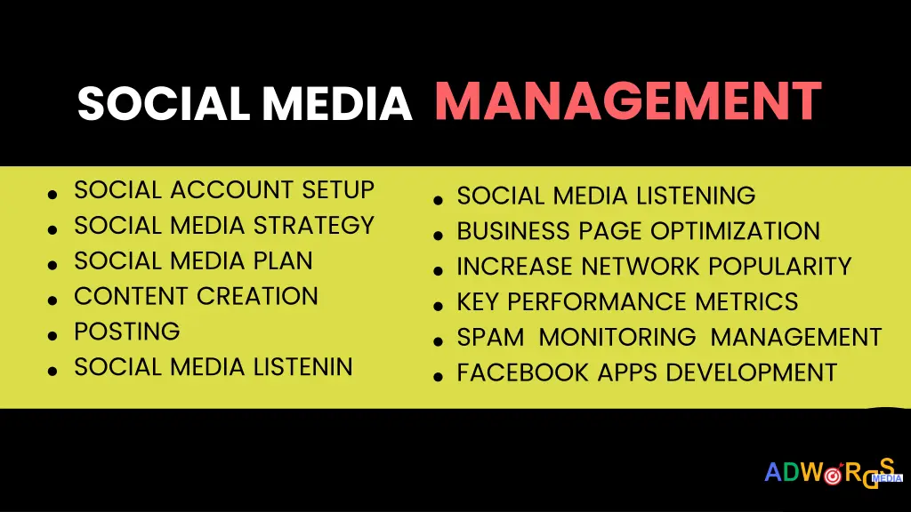 social media management