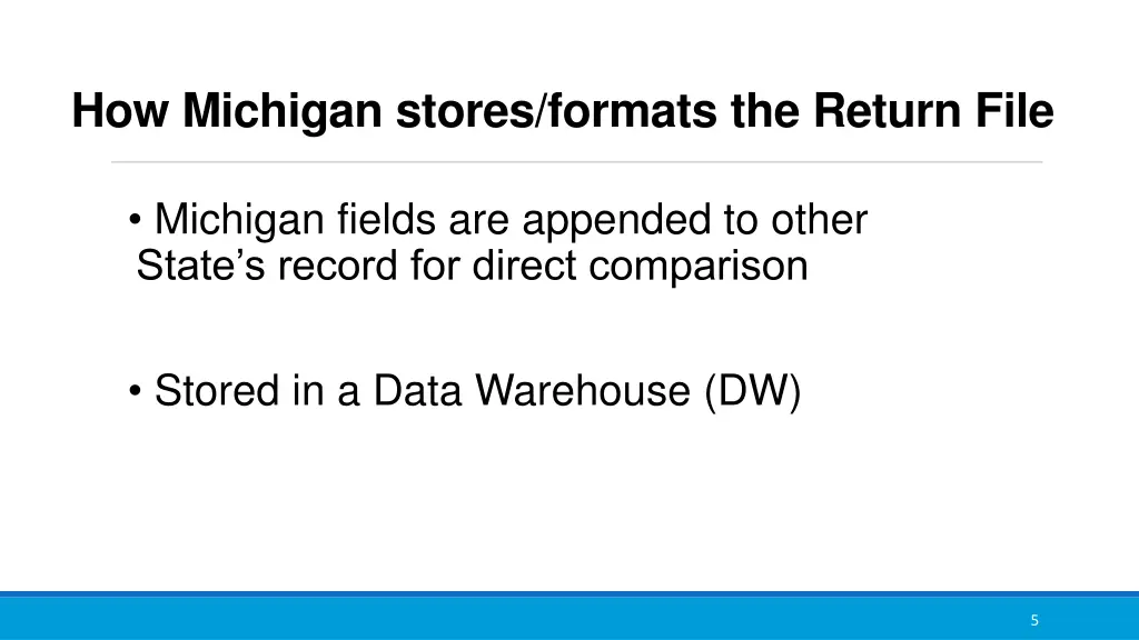 how michigan stores formats the return file