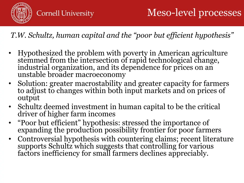 meso level processes 1