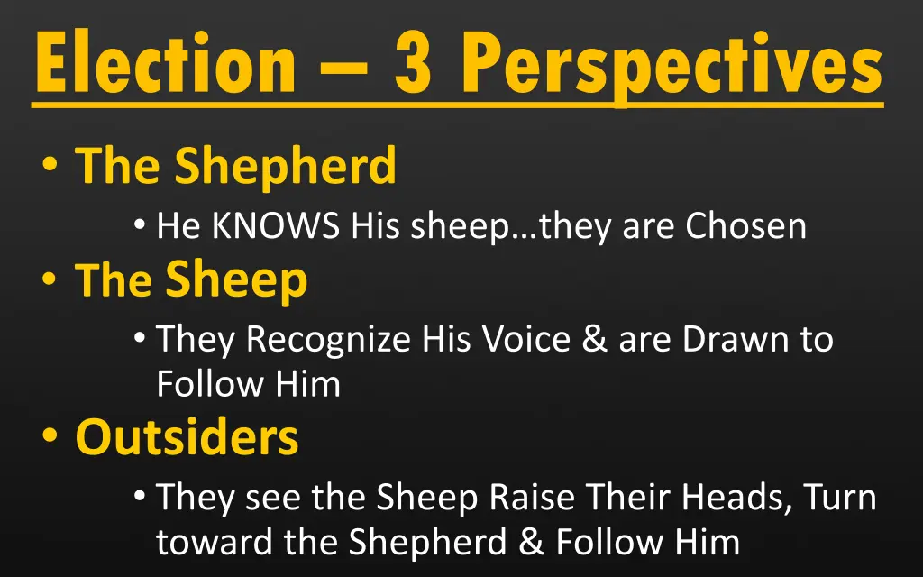 election 3 perspectives the shepherd he knows