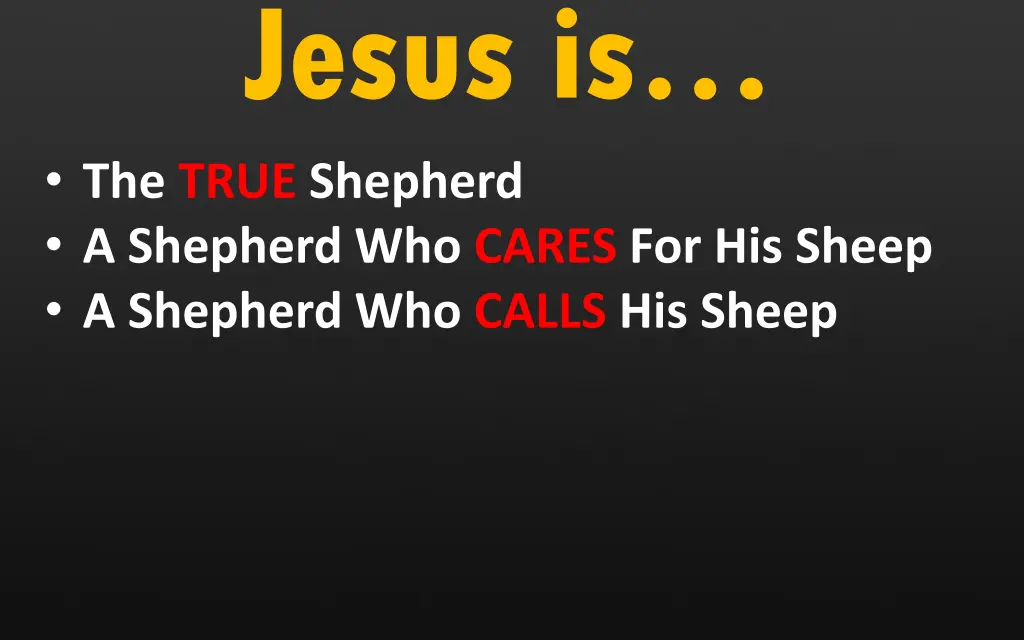 jesus is the true shepherd a shepherd who cares 1