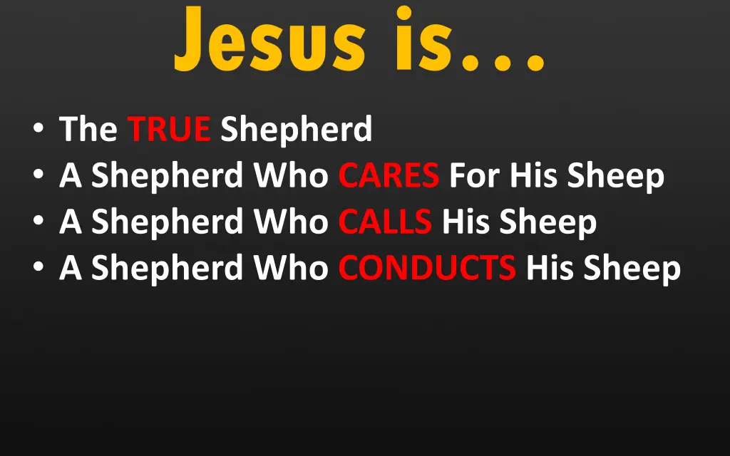 jesus is the true shepherd a shepherd who cares 2