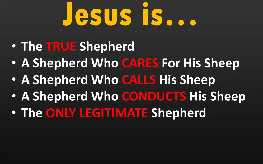 jesus is the true shepherd a shepherd who cares 3