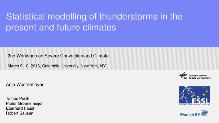 statistical modelling of thunderstorms