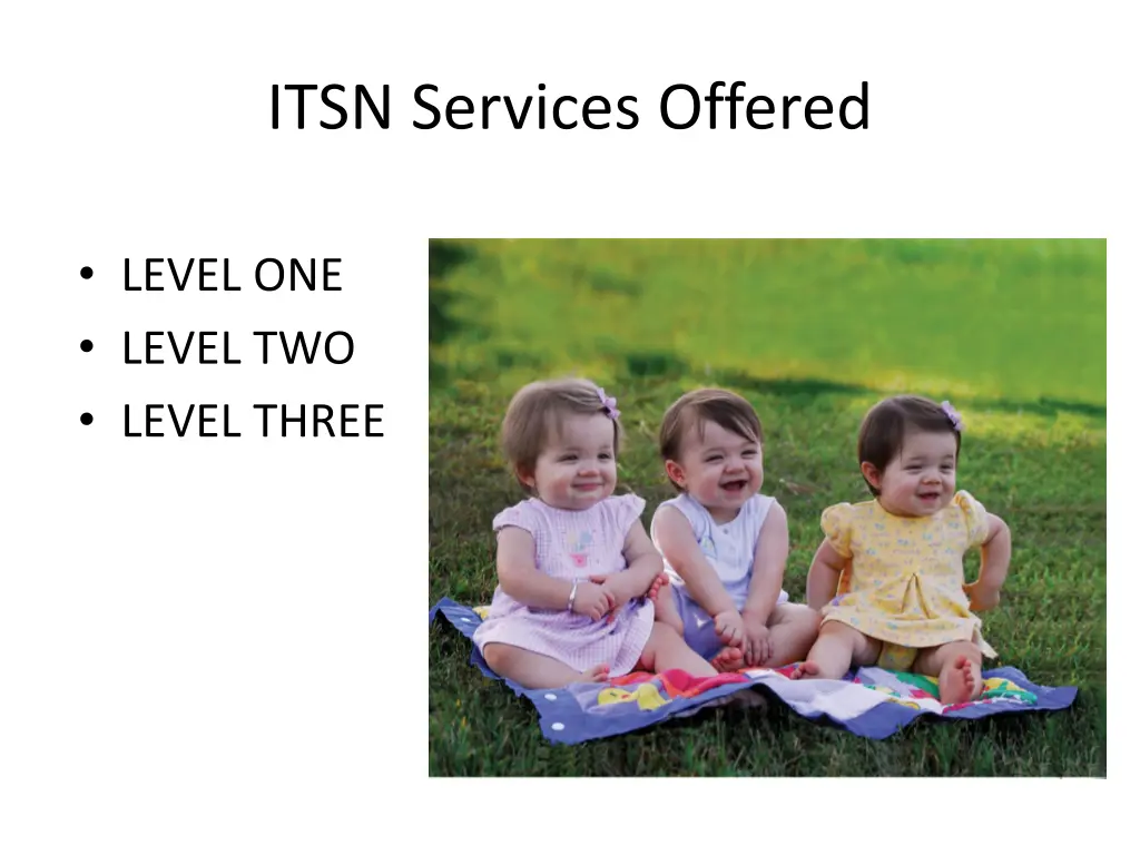 itsn services offered