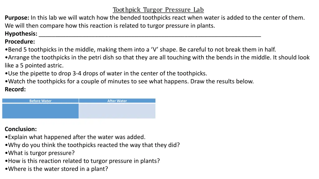 toothpick turgor pressure lab