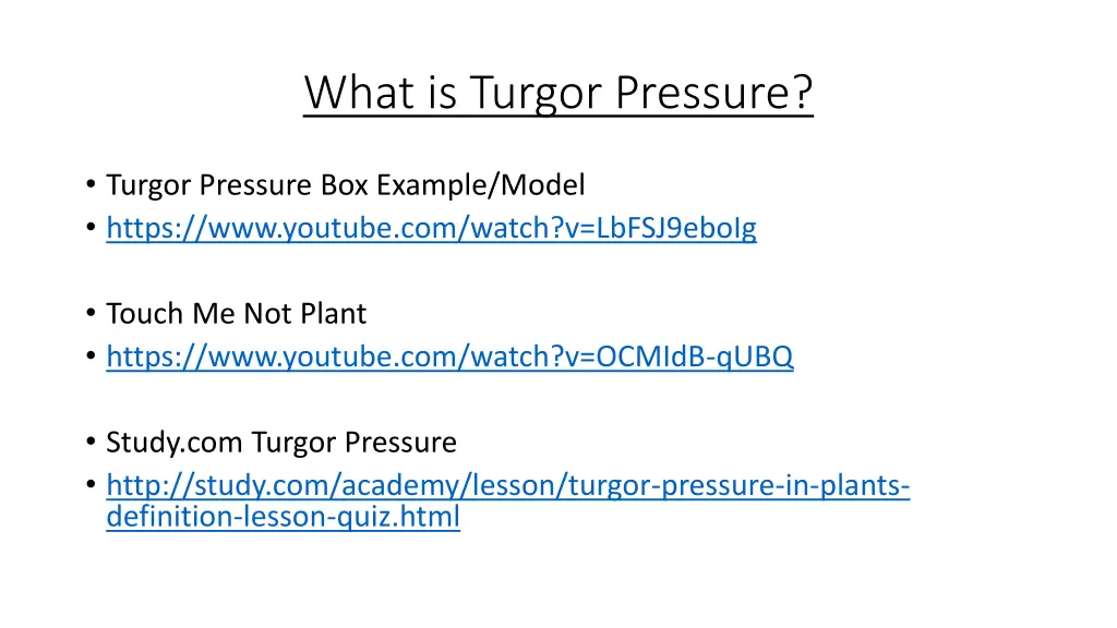 what is turgor pressure