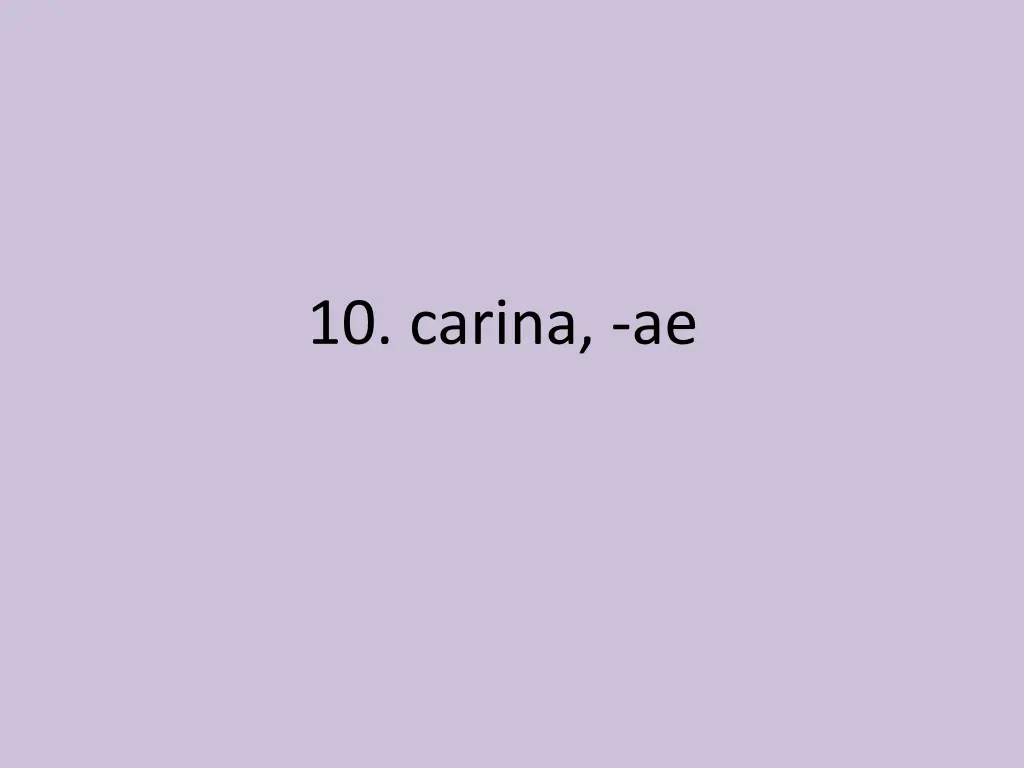 10 carina ae