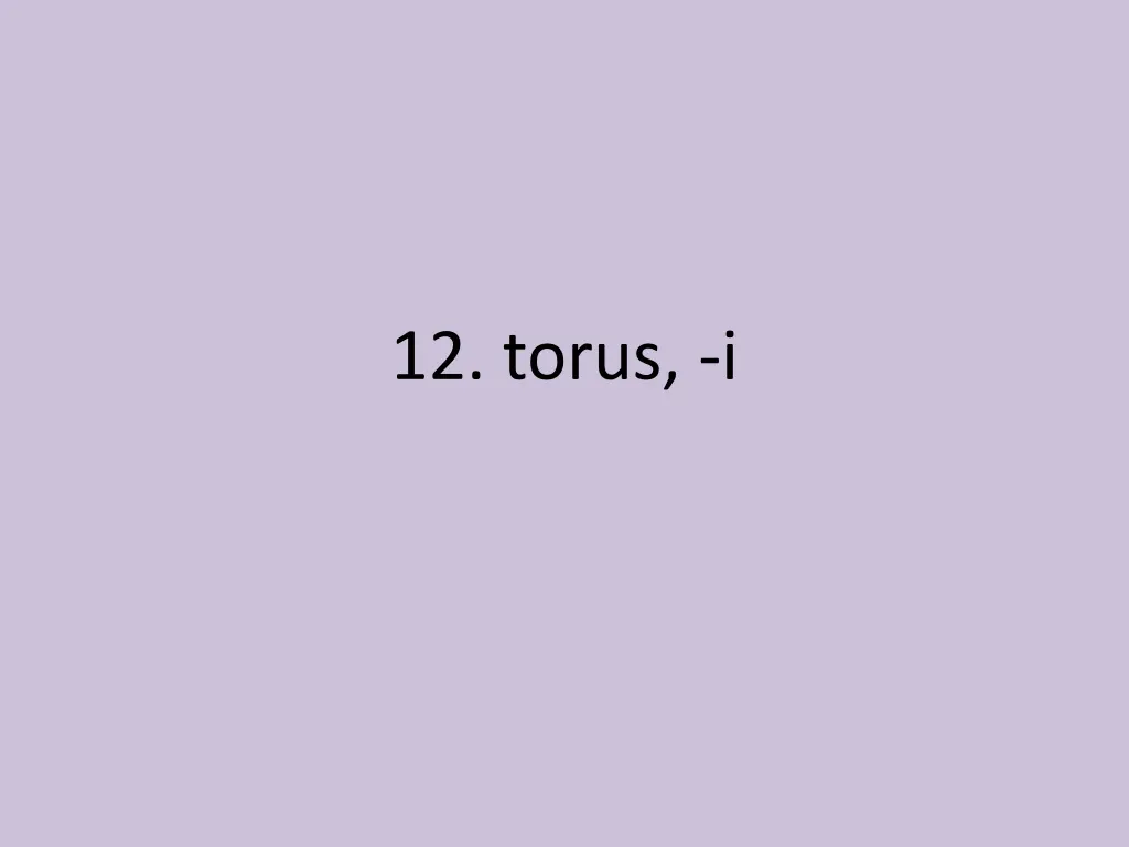 12 torus i