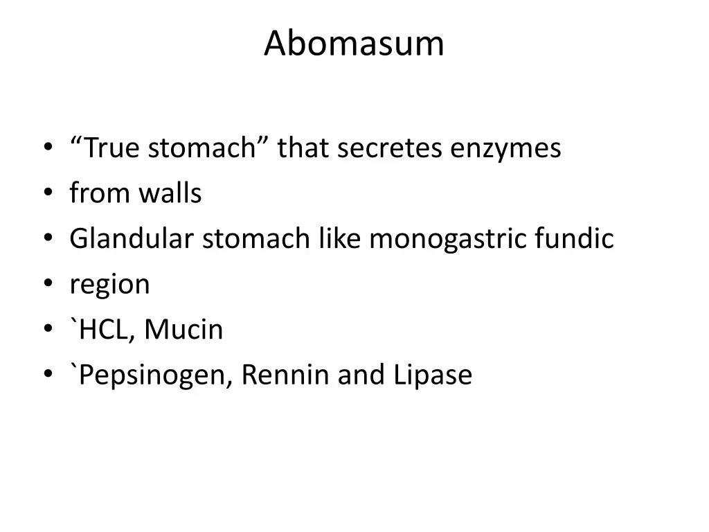 abomasum