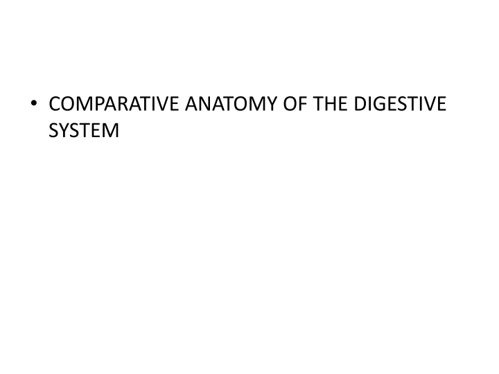 comparative anatomy of the digestive system