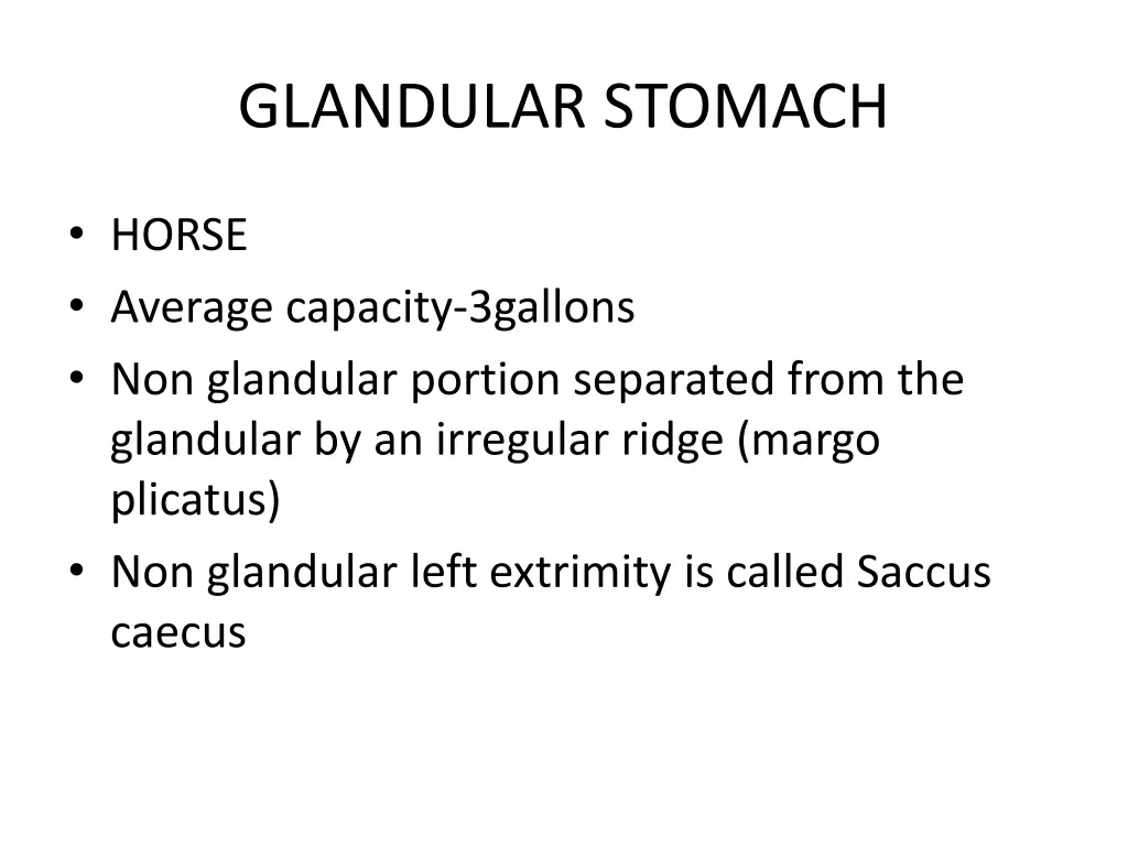 glandular stomach