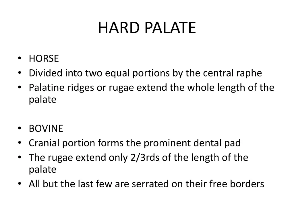 hard palate