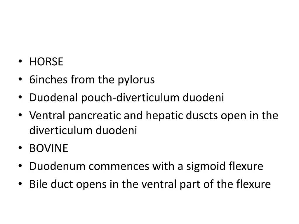 horse 6inches from the pylorus duodenal pouch