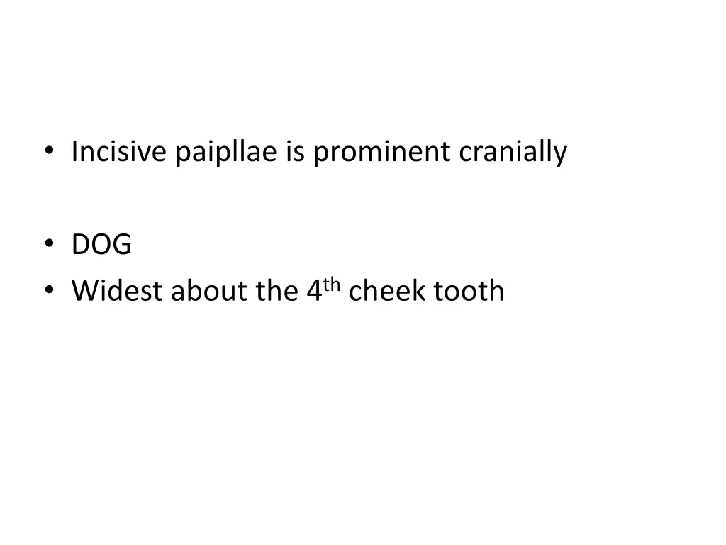 incisive paipllae is prominent cranially