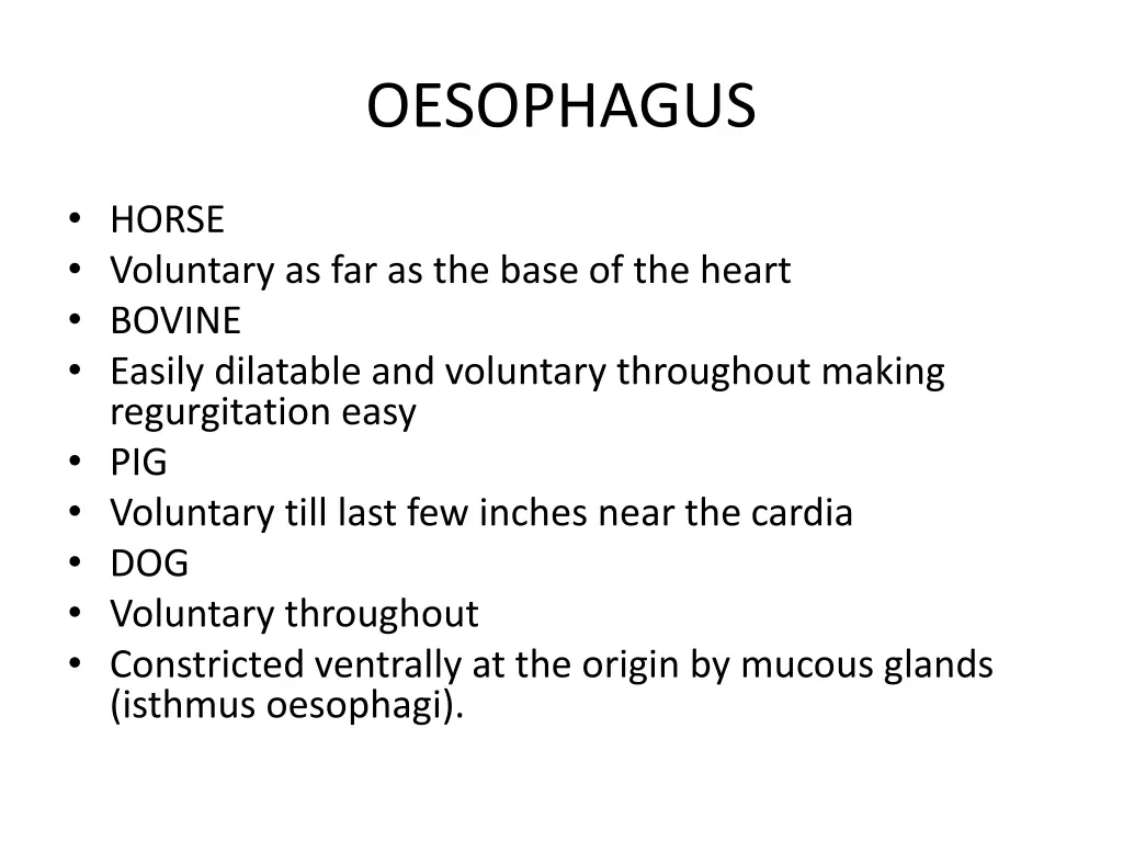 oesophagus