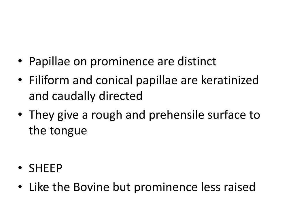 papillae on prominence are distinct filiform