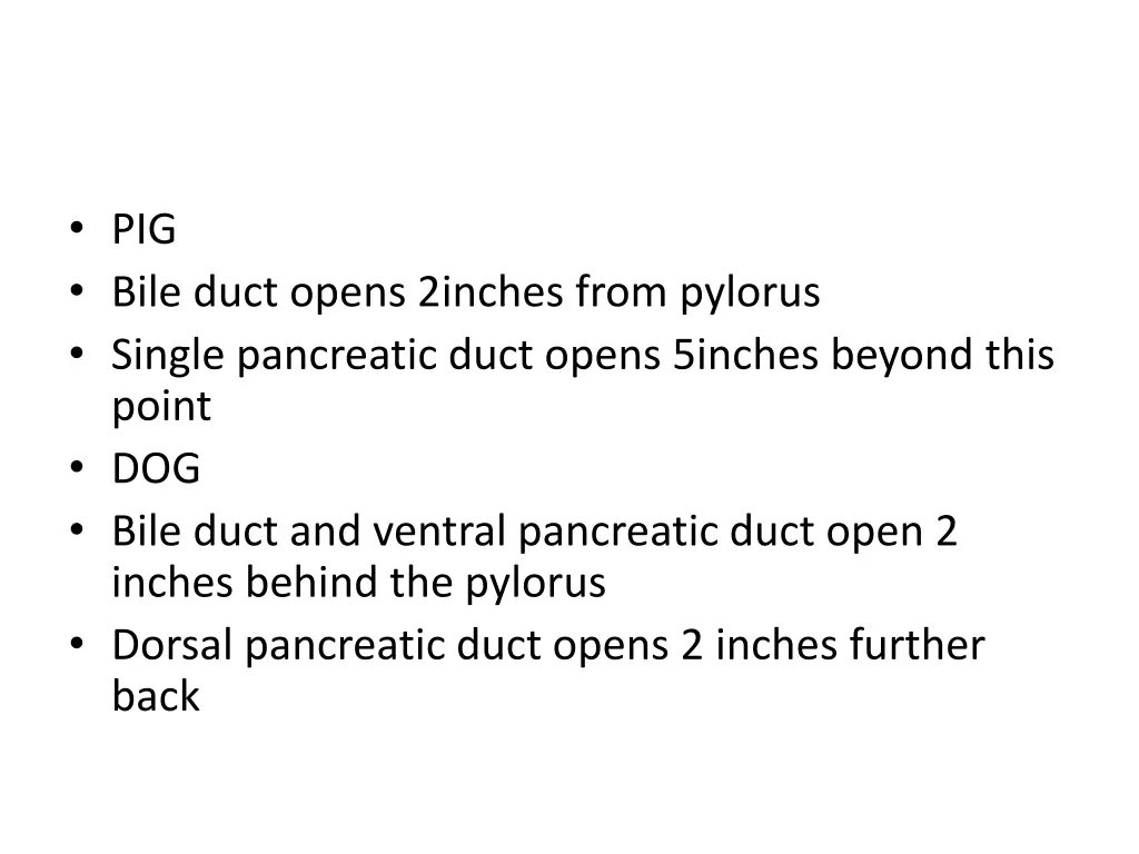 pig bile duct opens 2inches from pylorus single