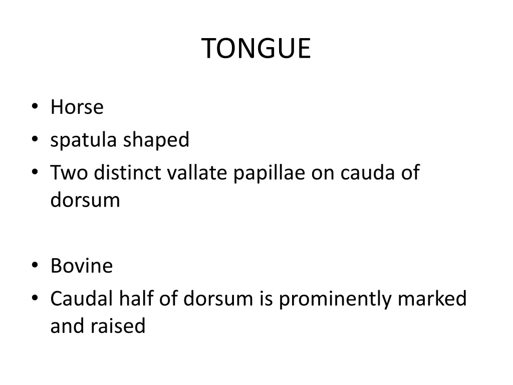 tongue