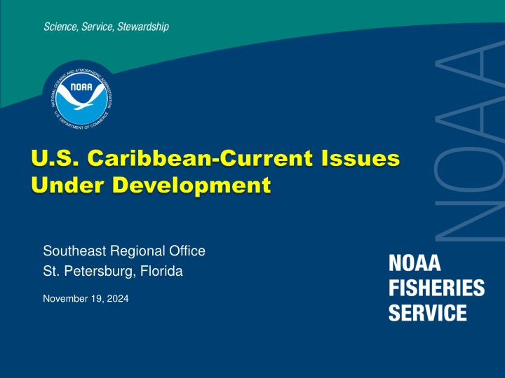 u s caribbean u s caribbean current issues under