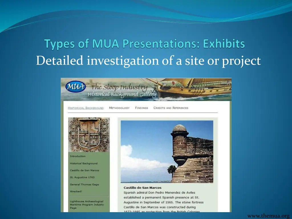 detailed investigation of a site or project